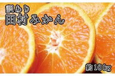【先行予約受付　訳あり】田村みかん　10kg　※2024年11月下旬頃〜2025年1月下旬頃に順次発送予定(お届け日指定不可)【uot717】