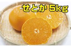 せとか　約5kg　【ご家庭用】 ※2024年2月下旬より順次発送予定（お届け日指定不可）【nuk127】