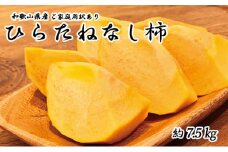 【ご家庭用わけあり】和歌山秋の味覚　平核無柿（ひらたねなしがき） 約7.5㎏　※2025年10月上旬頃～2025年10月末頃順次発送（お届け日指定不可）【uot718A】