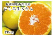 紀州和歌山有田産ゆら早生みかん 5㎏ 先行予約 ※2025年10月中旬頃～2025年10月末頃に順次発送（お届け日指定不可）【uot721】