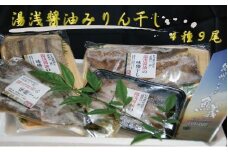 和歌山の近海でとれた新鮮魚の湯浅醤油みりん干し4品種9尾入りの詰め合わせ
【tec200A】
