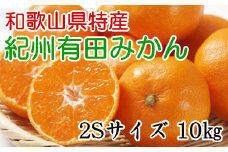 [秀品]和歌山有田みかん　約10kg(2Sサイズ)　※2025年11月中旬～2026年1月中旬頃に順次発送【tec832A】