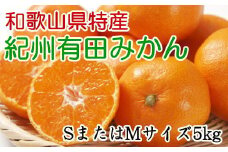 [秀品]和歌山有田みかん　5kg(SサイズまたはMサイズのいずれか) ※2025年11月中旬～2026年1月中旬頃順次発送【tec833A】