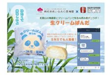 生クリームぱんだ （青うめ） 10個 もっちりふわふわのパンで包んだ絶品パン【inm910】