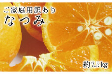 【ご家庭用訳アリ】初夏のみかん なつみ7.5kg　※2026年4月中旬頃～2026年4月下旬頃に順次発送予定(お届け日指定不可)【uot733A】