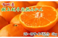 【濃厚・まろやか】有田産樹上越冬完熟みかん5kg（2S～Mサイズ混合・秀品）
 【tec873A】