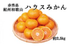 赤秀品　紀州和歌山ハウスみかん2.5kg【予約】※2026年6月下旬頃～7月下旬頃に順次発送予定(お届け日指定不可)【uot735A】