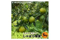 【早期受付】じゃばら果実（5キロ）【予約受付/11月下旬より順次発送】【njb183】