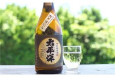 太平洋　特別純米酒　720ml ×2本セット【尾崎酒造】【nkm003B】
