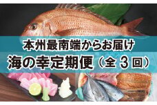 【定期便】3ヶ月分 本州最南端からお届け♪ 海の幸定期便【tkb121】