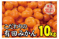 【農家直送】有田みかん　約10kg  大玉3L以上　有機質肥料100% 先行予約 ※2024年12月初旬～2025年1月中旬に順次発送(お届け日指定不可)【nuk139D】