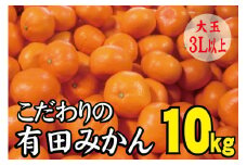 【農家直送】有田みかん　約10kg  大玉3L以上　有機質肥料100% 先行予約 ※2025年12月初旬～2026年1月中旬に順次発送(お届け日指定不可)【nuk139E】