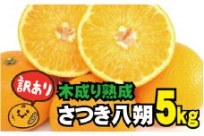 訳あり 木成り熟成さつき八朔 5kg (S～サイズおまかせまたは混合) ご家庭用 ※2022年4月上旬より順次発送予定（お届け日指定不可） 【tec844-wk】