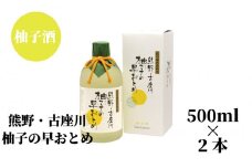 柚子の早乙女（500ml）×2本セット【nkm015B】