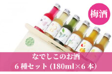梅酒 飲み比べ♪なでしこのお酒「てまり」6種類セット(紀州梅酒/完熟みかん梅酒/ゆず梅酒/赤しそ梅酒/蜂蜜梅酒/緑茶梅酒）※化粧箱入り【nkm032B】