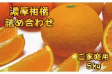 有田育ちの濃厚柑橘詰め合わせセット(ご家庭用)　約5kg【ard034A】