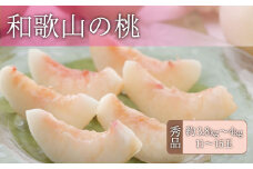 和歌山の桃 秀品 [約3.8～4kg] (サイズ・品種おまかせ) 紀伊国屋文左衛門本舗 和歌山 もも モモ 桃 果物 フルーツ 人気 産地直送 和歌山県 お取り寄せ【kstb800A】
