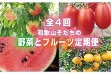 【４か月定期便】和歌山産そだちの野菜とフルーツ定期便♪（八朔・トマト・すいか・桃）【tkb135】