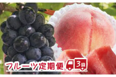 【３か月定期便】旬を満喫！3種のフルーツ定期便♪（すいか・桃・巨峰）【tkb134】