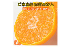 【ご家庭用訳あり】田村みかん　5kg ※2024年11月下旬頃〜2025年1月下旬頃に発送（お届け日指定不可）訳ありみかん 温州みかん【uot754A】