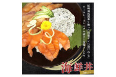 紀州湯浅醤油を使ったサーモンとカンパチの漬け＆釜揚げしらすの 海鮮丼 ３種セット 計３００g【uot756A】