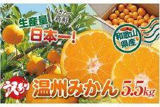 訳あり 和歌山の美味しい温州みかん 約5.5kg 先行予約 【2023年12月中旬～2月中旬に順次発送（お届け日指定不可）】/ご家庭用 サイズ混合 訳ありみかん ミカン 柑橘【mat307】