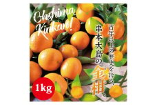 【フルーツ王国 和歌山県からお届け】串本大島のキンカン 1kg （2L～L） 金柑 きんかん 果実 フルーツ 国産 和歌山【jak101】