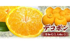 田村産「デコ」不知火[約3kg]湯浅町田村産春みかん(果実サイズおまかせ)/紀伊国屋文左衛門本舗　※2025年2月中旬～3月下旬頃に順次発送予定(お届け日指定不可)【kstb493A】