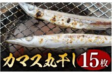 【丸干し 干物セット】カマス 丸干し 15枚セット 干物 ひもの セット 和歌山 家庭用【ben004】