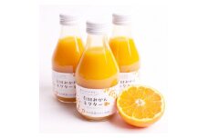 とろり　みかんネクター180ml×12本【無添加100%ストレートジュース】【有田みかんジュース】【ikd101A】
