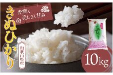 和歌山県産 キヌヒカリ 10kg(2024年産)  産地直送 米 こめ ご飯 ごはん  【sml100E】
