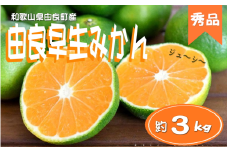 ≪秀品≫和歌山由良町産 由良早生みかん 約3kg サイズおまかせ(Ｌ～2Ｓ) いずれかお届け【sml107B】