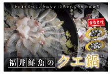 【先行予約】幻のクエ！国産 養殖クエ鍋500g 刺身150g くえ 鍋 セット【fki101】
