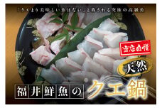 【先行予約】幻のクエ！国産 天然クエ鍋 500g くえ 鍋 セット 【fki104】