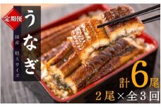 【全3回定期便】大型サイズ ふっくら柔らか 国産うなぎ蒲焼き 2尾×3回 計6尾 約1020g /  うなぎ ウナギ 鰻 国産 蒲焼 蒲焼き たれ 人気 定期便 ふるさと納税【tkb309】