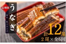【全6回定期便】大型サイズ ふっくら柔らか 国産うなぎ蒲焼き 2尾×6回 計12尾 約2040g /  うなぎ ウナギ 鰻 国産 蒲焼 蒲焼き たれ 人気 定期便 ふるさと納税【tkb310】