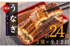 【全12回定期便】大型サイズ ふっくら柔らか 国産うなぎ蒲焼き 2尾×12回 計24尾 約4080g /  うなぎ ウナギ 鰻 国産 蒲焼 蒲焼き たれ 人気 定期便 ふるさと納税【tkb311】