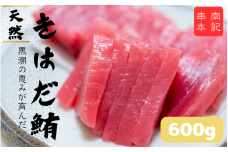 和歌山県産 天然 キハダマグロ 約600g / まぐろ 鮪 キハダマグロ 海鮮 魚貝 魚　【tcr002A】