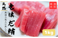 和歌山県産 天然 キハダマグロ 約1kg / まぐろ 鮪 キハダマグロ 海鮮 魚貝 魚　【tcr003A】