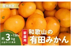家庭用 有田みかん 和歌山 小玉(2S,3Sサイズ混合) 3kg +150g【10月上旬～1月下旬頃に順次発送予定】/ みかん フルーツ 果物 くだもの 有田みかん 蜜柑 柑橘【ktn009】