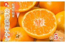 【先行予約】紀州有田産 濃厚完熟 温州みかん 5kg ※2024年11月下旬頃～2025年1月下旬頃に順次発送予定 / みかん ミカン 蜜柑 温州みかん 柑橘 フルーツ 果物 くだもの 和歌山【uot006】
