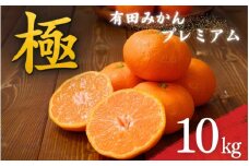 ＼光センサー選別／極 有田みかんプレミアム 10kg【光センサー 高糖度選別品】2S～Mの小玉サイズ 有機質肥料100% ※2024年11月下旬頃～2024年12月下旬頃に順次発送予定 ※北海道・沖縄・離島への配送不可 【nuk156B】