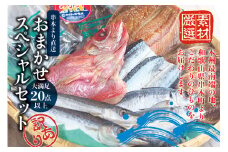【訳あり干物セット】たっぷり20点以上！おざきのひもの「おまかせスペシャルセット」【冷凍】/ ひもの 干物 干物セット 個包装 イカ 一夜干し 訳あり わけあり【ozk103-1】