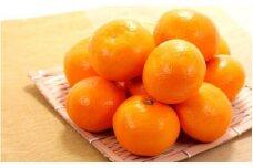 有田みかん 約1kg サイズ混合 ※2024年10月末～2025年1月中旬頃に順次発送予定（お届け日指定不可)【stm001】