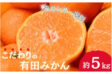 【2025年12月発送予約分】＼光センサー選別／農家直送 こだわりの有田みかん 約5kg＋250g(傷み補償分) 【ご家庭用】【12月発送】みかん ミカン 有田みかん 温州みかん 柑橘 有田 和歌山 ※北海道・沖縄・離島配送不可/みかん ミカン 有田みかん 温州みかん 柑橘 有田 和歌山 産地直送【nuk160-12】