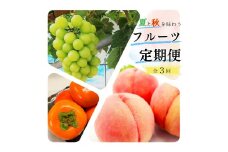 【全3回】夏と秋を味わうフルーツ定期便 (桃・マスカット・柿)【tkb370】