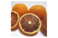 【春の美味】【高級柑橘】濃厚ブラッドオレンジ タロッコ　3kg　※4月上旬～5月中旬頃に順次発送予定【ard206】