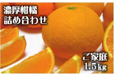 【先行予約】有田育ちの濃厚柑橘詰め合わせセット(ご家庭用)　約1.5kg【2025年1月中旬～4月下旬順次発送予定】【ard209】