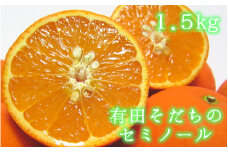 有田育ちの爽快セミノールオレンジ(ご家庭用)　約1.5kg　※2025年4月より順次発送予定【ard210】