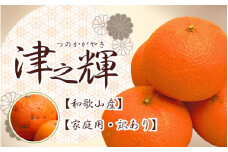 ＜2月より発送＞家庭用 津之輝1.5kg+45g（傷み補償分）つのかがやき【わけあり・訳あり】【光センサー選別】※北海道・沖縄・離島への配送不可【ikd204】